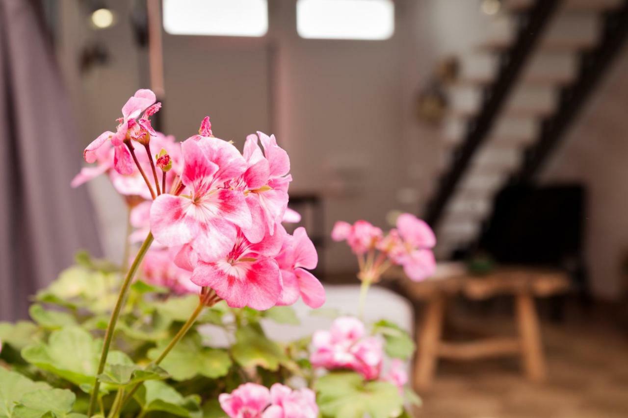 Casa Do Sul Holiday home *
